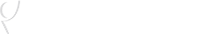 Ingenious Netsoft Logo