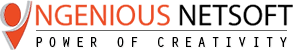 Ingenious Netsoft: Logo