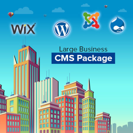 Ingenious Netsoft: Large-Business-CMS-Package