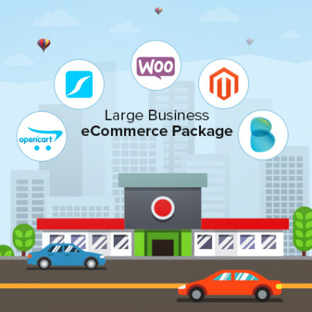 Ingenious Netsoft: Large-Business-Ecommerce-Package