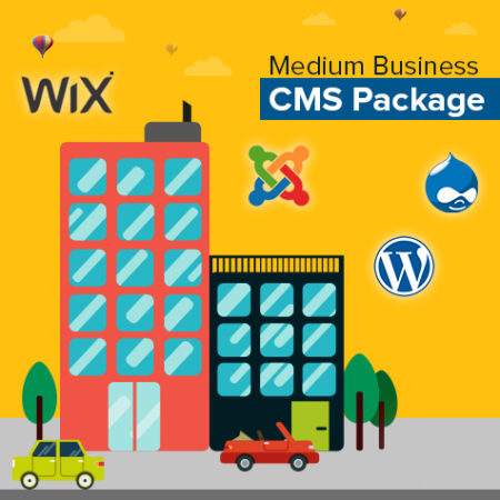 Ingenious Netsoft: Medium-Business-CMS-Package