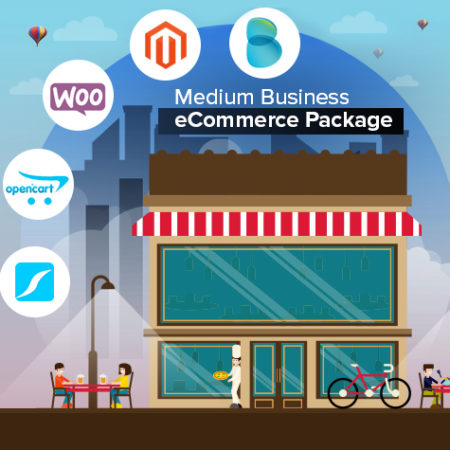 Ingenious Netsoft: Medium-Business-Ecommerce-Package