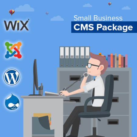 Ingenious Netsoft: Small-Business-CMS-Package