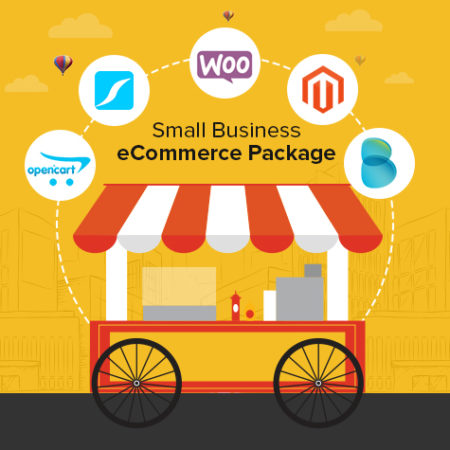 Ingenious Netsoft: Small-Business-Ecommerce-Package