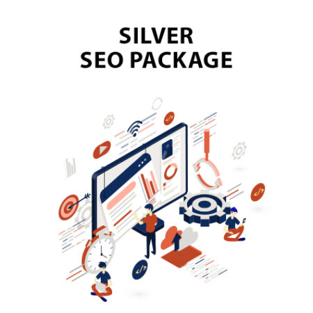 Ingenious Netsoft: Silver SEO Package