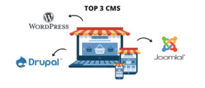 Ingenious Netsoft: Top-3-CMS