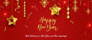 Ingenious Netsoft: Happy-New-Year