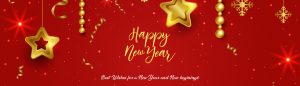 Ingenious Netsoft: Happy-New-Year