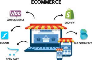 Ingenious Netsoft: ecommerce-packages