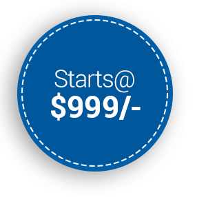 ingeniousnetsoft.com:e-commerce