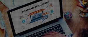 Ingenious Netsoft: Ecommerce Packages